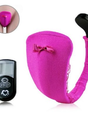 Vibrating Panties 10 speed Wireless Remote Control-lovemakingtoy.com